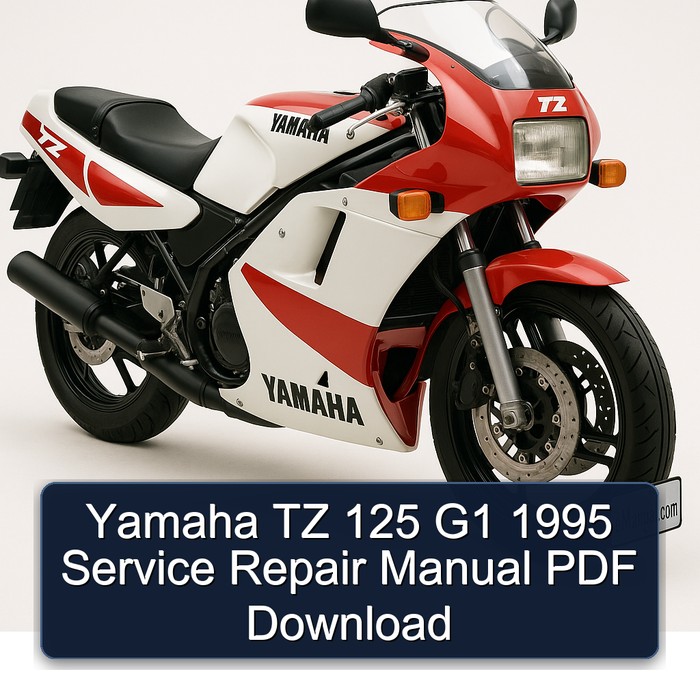 Yamaha TZ 125 G1 1995 Manual de servicio y reparación PDF Download