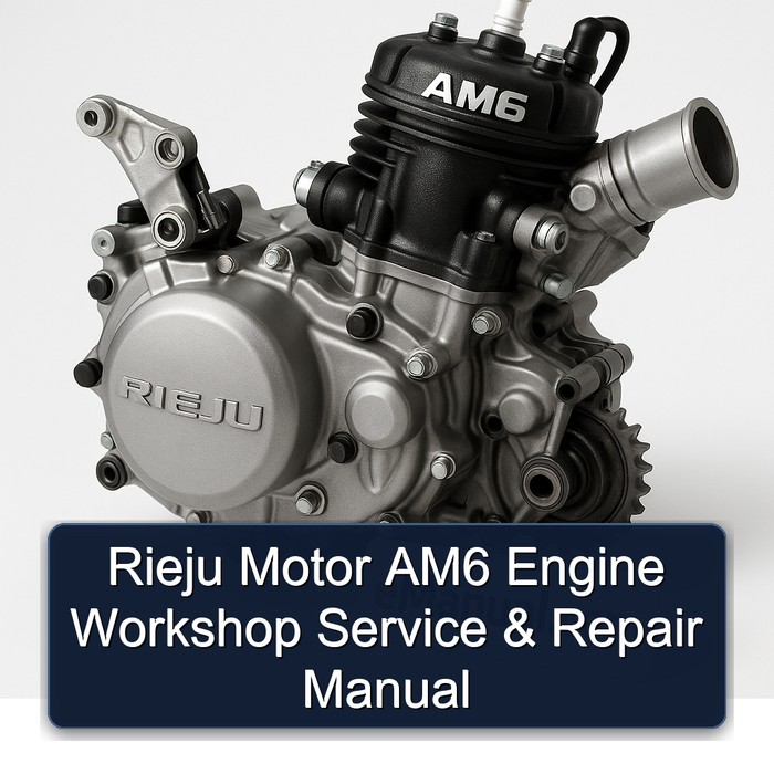 Rieju Motor AM6 Engine Workshop Service & Repair Manual 