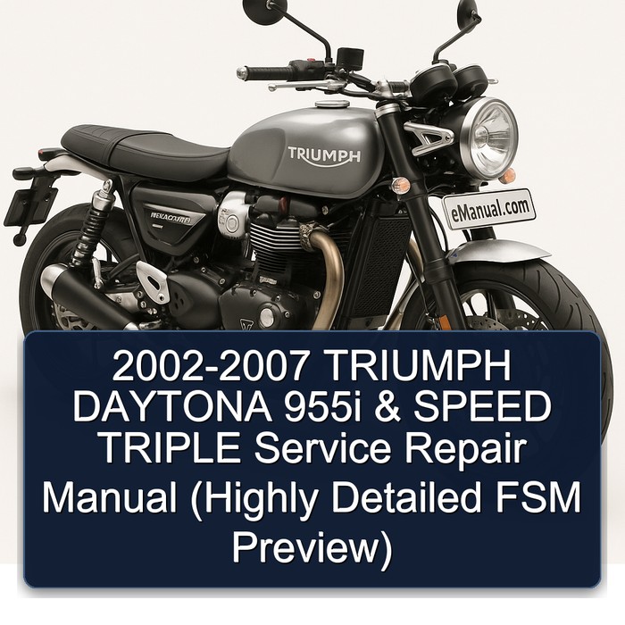 2002-2007 TRIUMPH DAYTONA 955i & SPEED TRIPLE Manual de servicio y reparación (Highly Detailed FSM Preview)