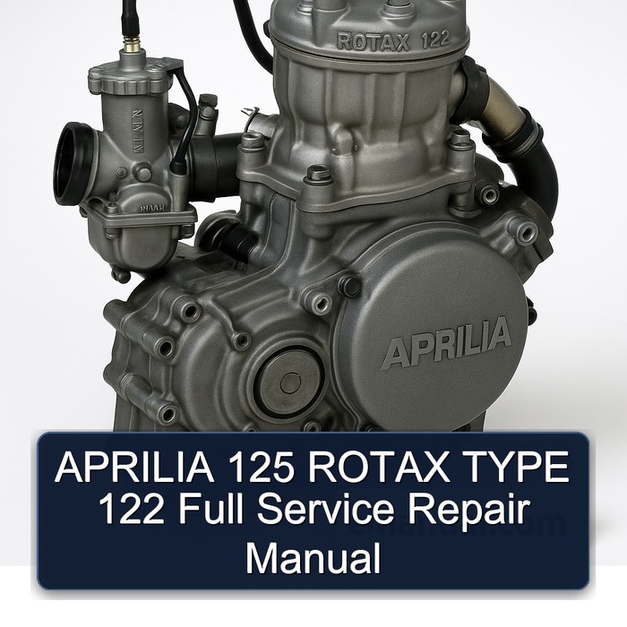 Manual de Reparación Completo APRILIA 125 ROTAX TYPE 122