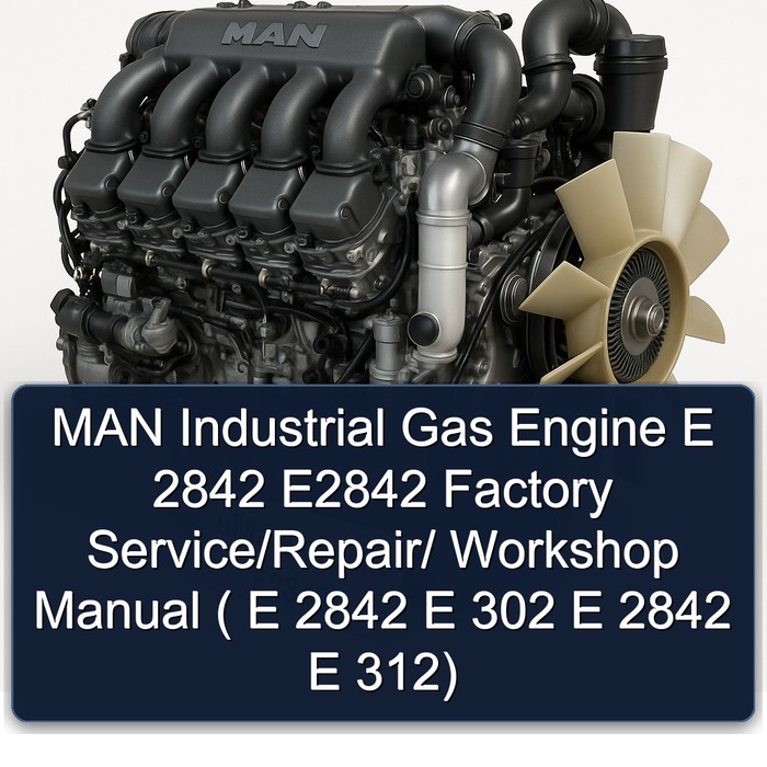 MAN Industrial Gas Engine E 2842 E2842  Factory Service/Repair/ Workshop Manual ( E 2842 E 302 E 2842 E 312)