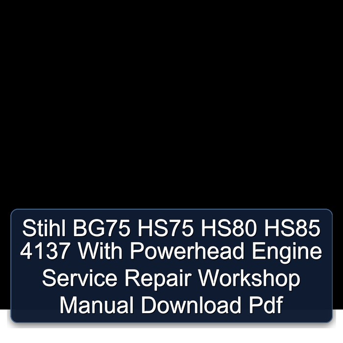 Stihl BG75 HS75 HS80 HS85 4137 With Powerhead Engine Service Repair Workshop Manual Download Pdf