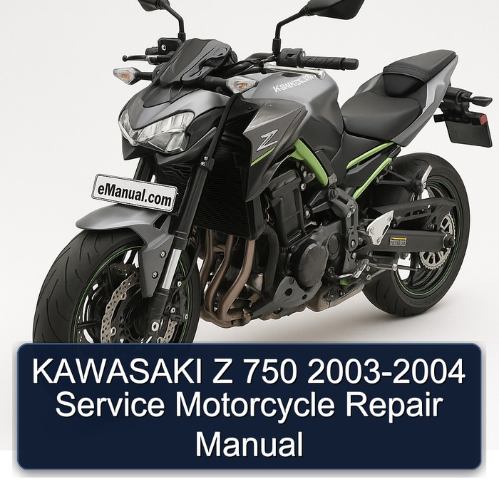 KAWASAKI Z 750 2003-2004 Service Motorcycle Repair Manual