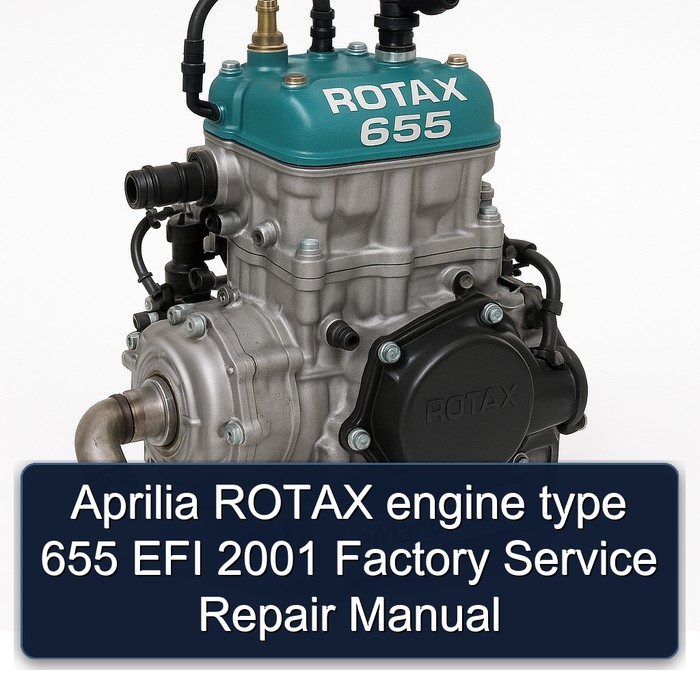 Aprilia ROTAX engine type 655 EFI 2001 Factory Service Repair Manual