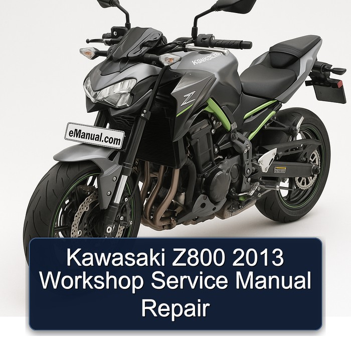 Kawasaki Z800 2013 Workshop Service Manual Repair