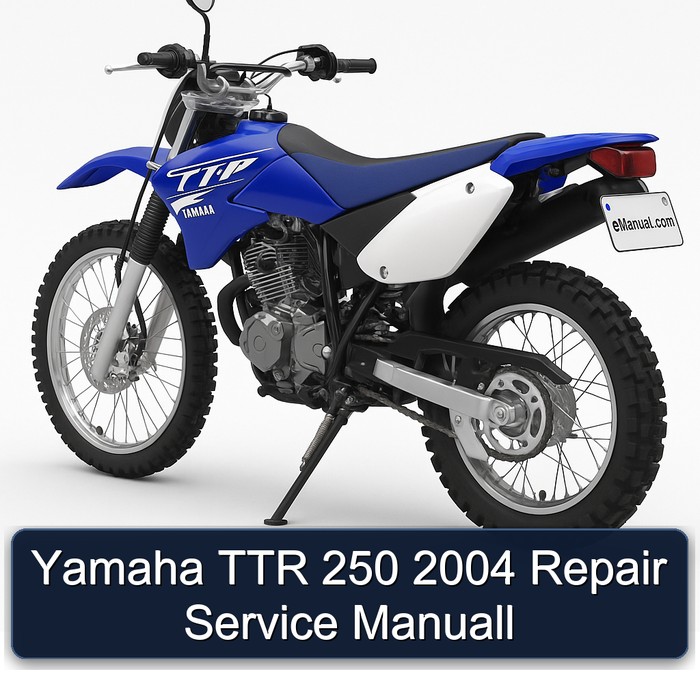 Yamaha TTR 250 2004 Repair Service Manuall