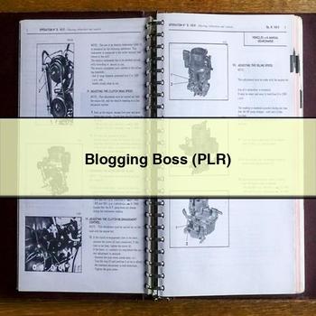 Blogging Boss (Plr) PDF Download