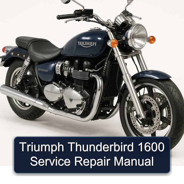 Triumph Thunderbird 1600 Manual de servicio y reparación
