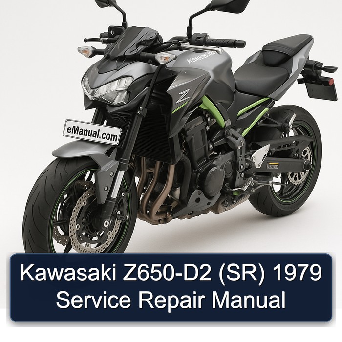 Kawasaki Z650-D2 (SR) 1979 Manual de servicio y reparación