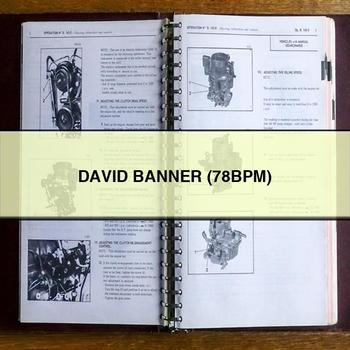 David Banner (78BPM) PDF Download
