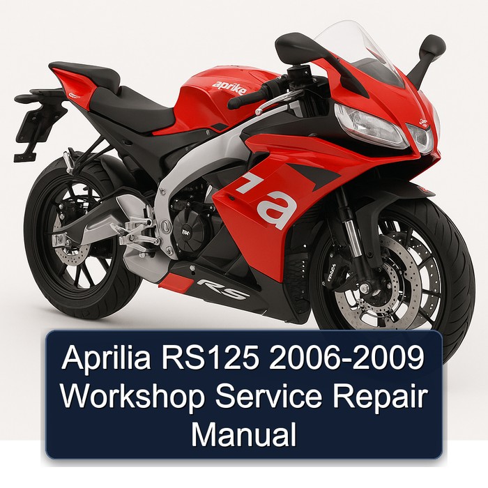 Aprilia RS125 2006-2009 Workshop Manual de servicio y reparación
