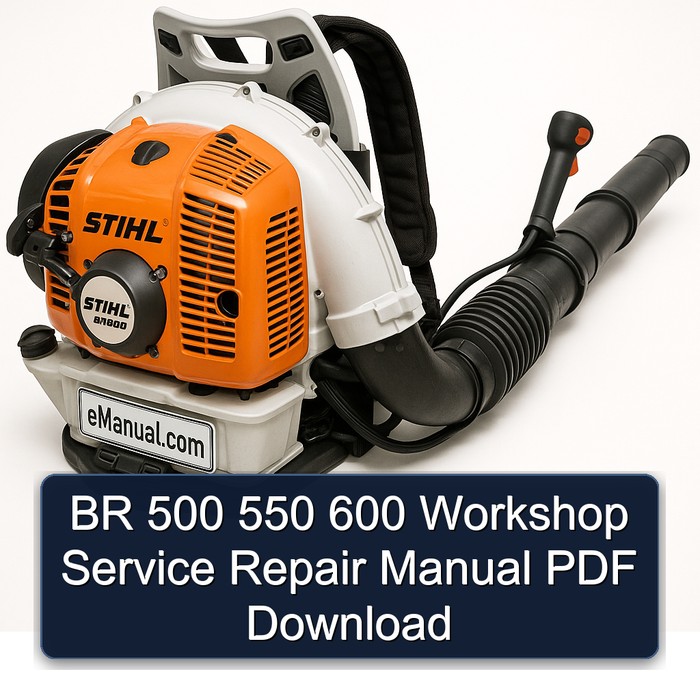 BR 500 550 600 Workshop Service Repair Manual PDF Download