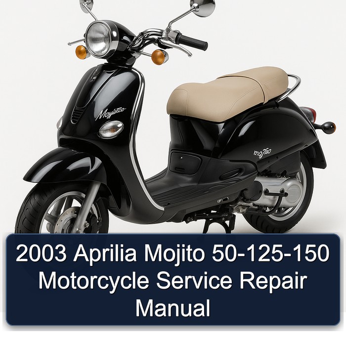 2003 Aprilia Mojito 50-125-150 Motorcycle Manual de servicio y reparación