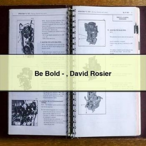 Be Bold - David Rosier PDF Download