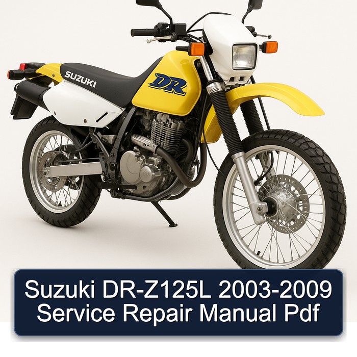 Suzuki DR-Z125L 2003-2009 Manual de servicio y reparación Pdf