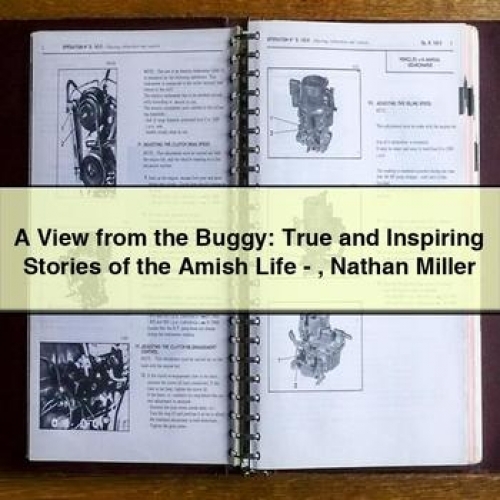 A View from the Buggy: True and Inspiring Stories of the Amish Life - Nathan Miller PDF Download