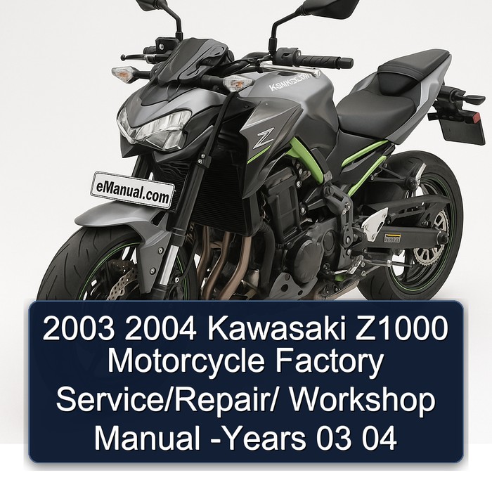 2003 2004 Kawasaki Z1000 Motorcycle Factory Service/Repair/ Workshop Manual -Years 03 04