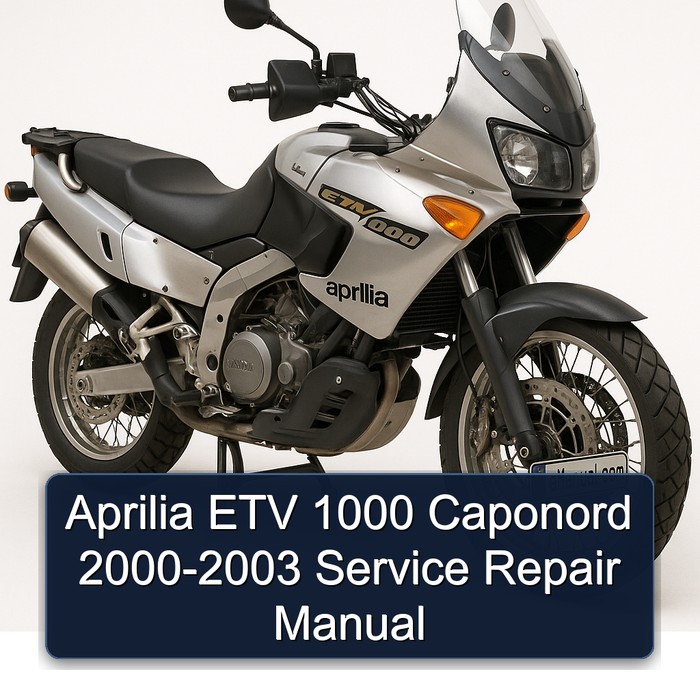 Aprilia ETV 1000 Caponord 2000-2003 Manual de servicio y reparación