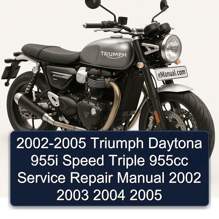 2002-2005 Triumph Daytona 955i Speed Triple 955cc Manual de servicio y reparación 2002 2003 2004 2005