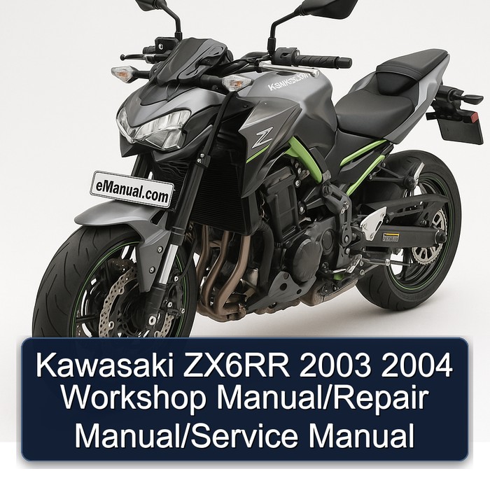 Kawasaki ZX6RR 2003 2004 Workshop Manual/Repair Manual/Service Manual