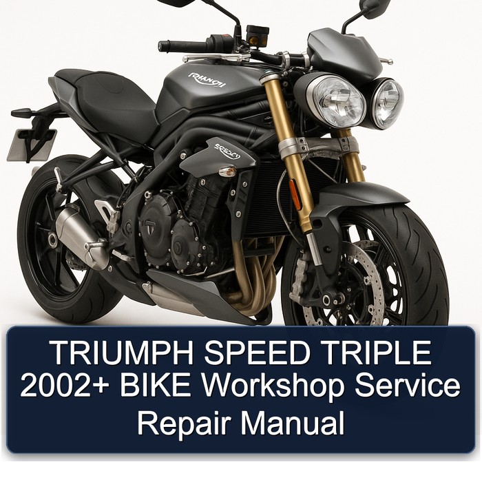 TRIUMPH SPEED TRIPLE 2002+ BIKE Workshop Manual de servicio y reparación