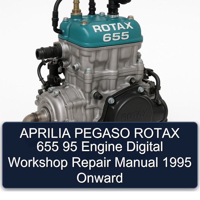 APRILIA PEGASO ROTAX 655 95 Engine Digital Workshop Repair Manual 1995 Onward 