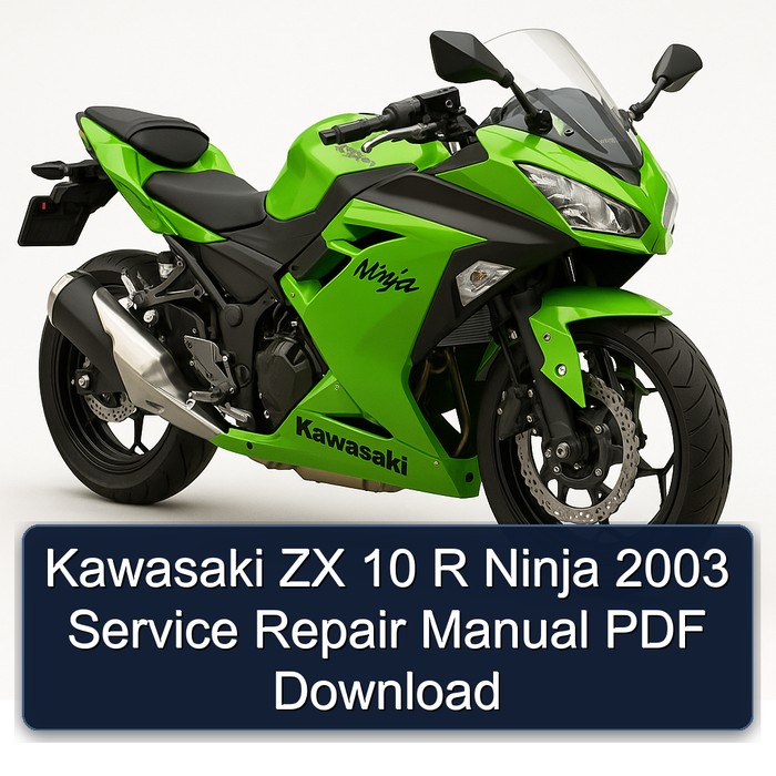Kawasaki ZX 10 R Ninja 2003 Service Repair Manual PDF Download