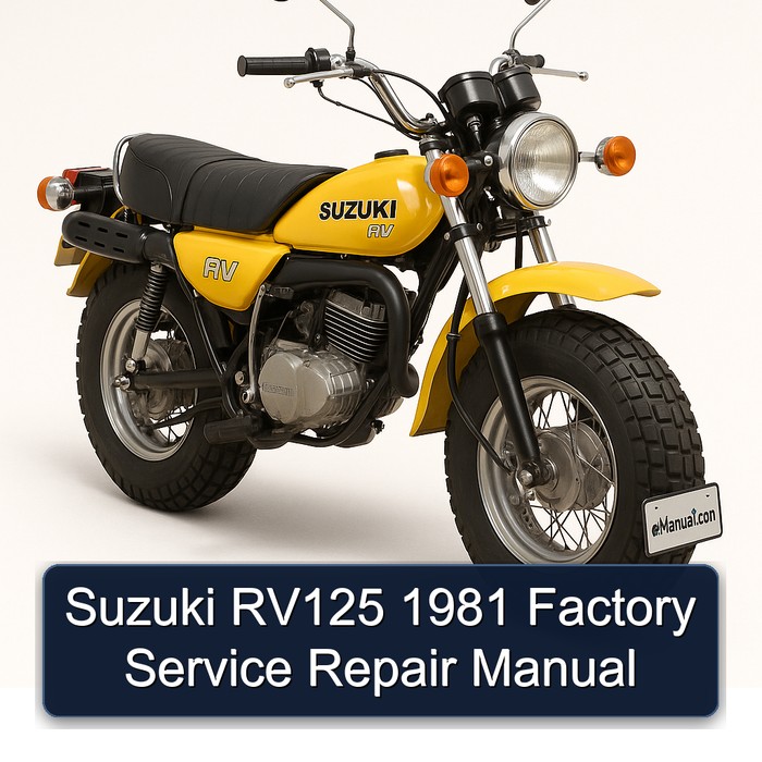 Suzuki RV125 1981 Factory Manual de servicio y reparación