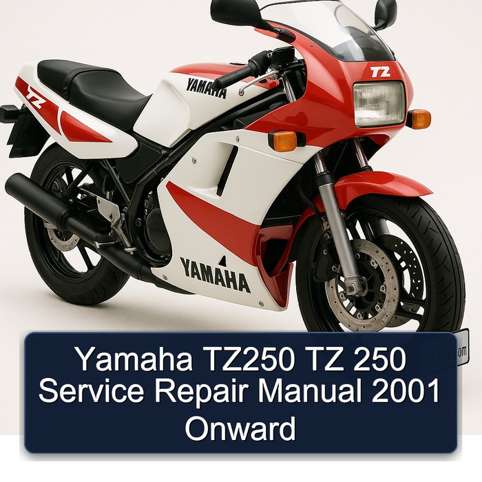 Yamaha TZ250 TZ 250 Manual de servicio y reparación 2001 Onward