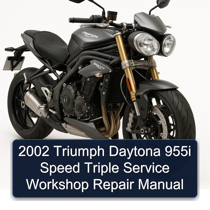 2002 Triumph Daytona 955i Speed Triple Service Workshop Repair Manual
