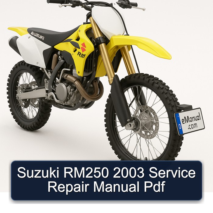 Suzuki RM250 2003 Service Repair Manual Pdf