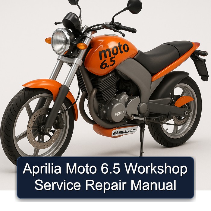 Aprilia Moto 6.5 Workshop Manual de servicio y reparación