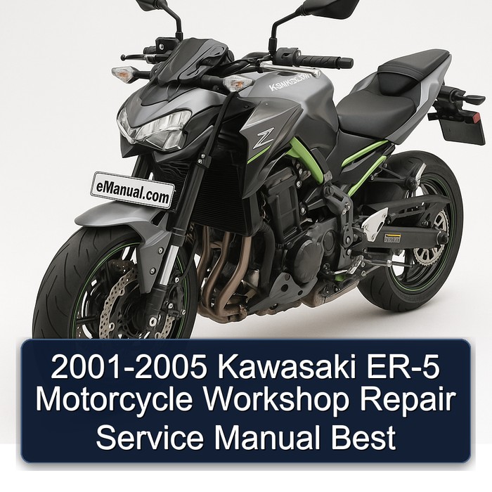 2001-2005 Kawasaki ER-5 Motorcycle Workshop Repair Service Manual Best