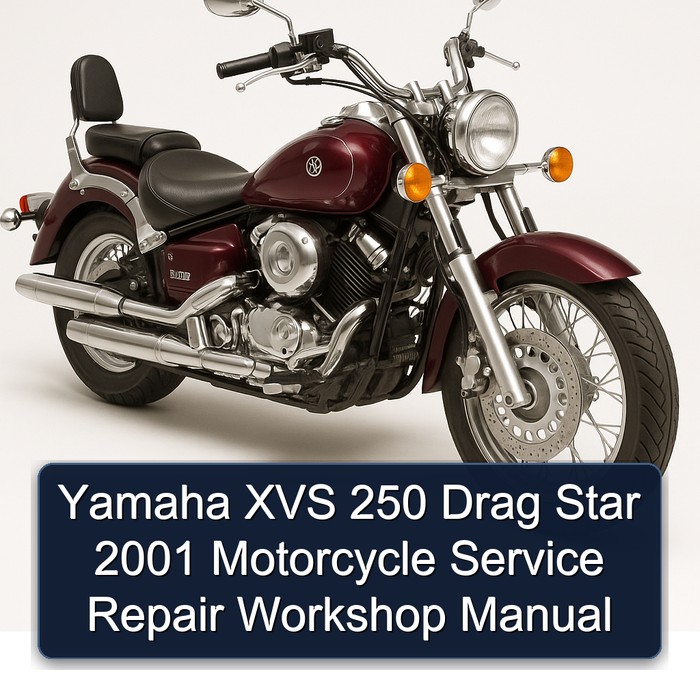 Yamaha XVS 250 Drag Star 2001 Motorcycle Service Repair Workshop Manual