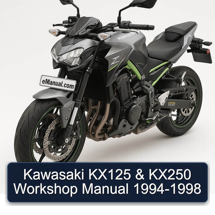 Kawasaki KX125 & KX250 Workshop Manual 1994-1998