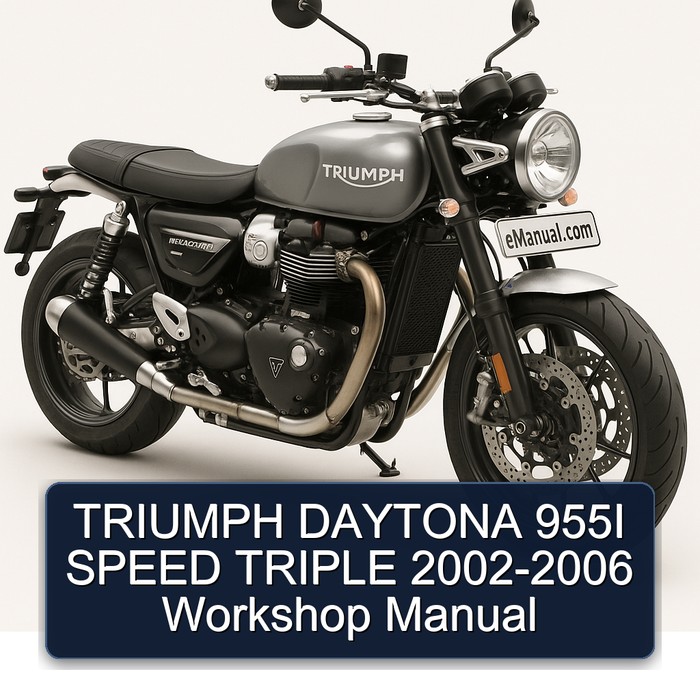 TRIUMPH DAYTONA 955I SPEED TRIPLE 2002-2006 Workshop Manual
