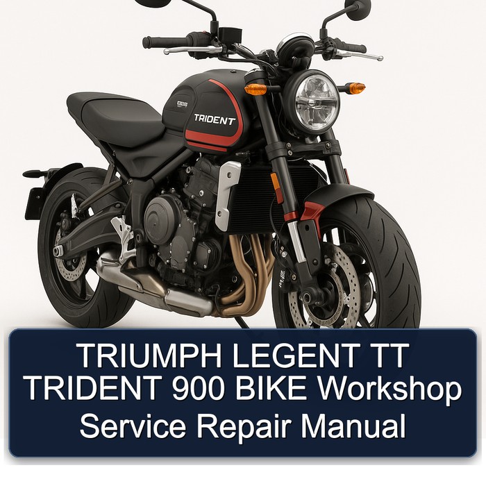 TRIUMPH LEGENT TT TRIDENT 900 BIKE Workshop Manual de servicio y reparación