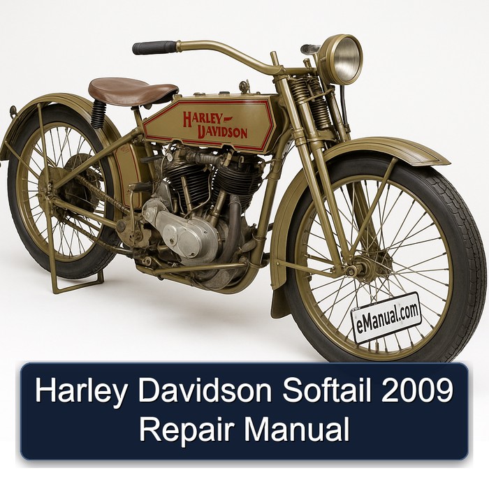 Harley Davidson Softail 2009 Repair Manual