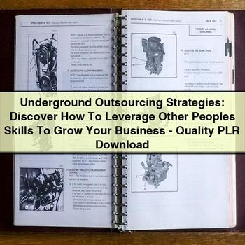 Underground Outsourcing Strategies: Discover How to Leverage Other Peoples Skills to Grow Your Business-Quality Plr PDF Download
