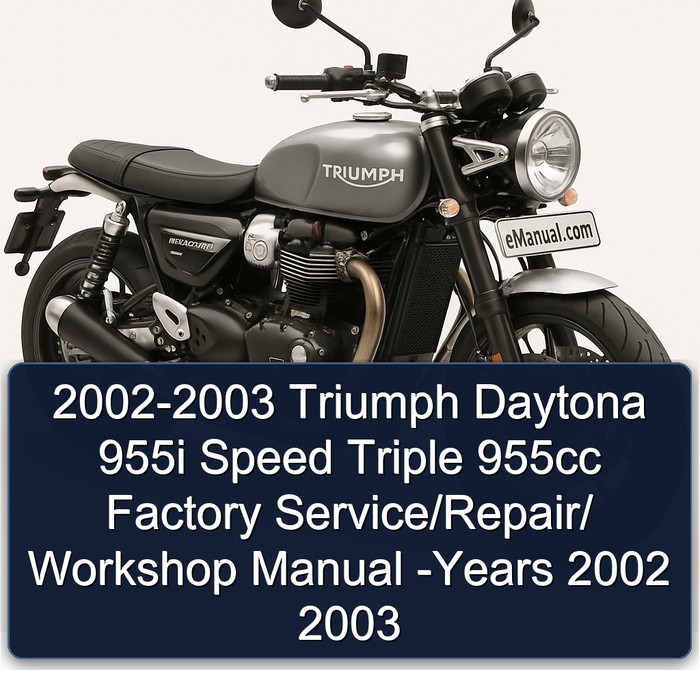 2002-2003 Triumph Daytona 955i Speed Triple 955cc Factory Service/Repair/ Workshop Manual -Years 2002 2003