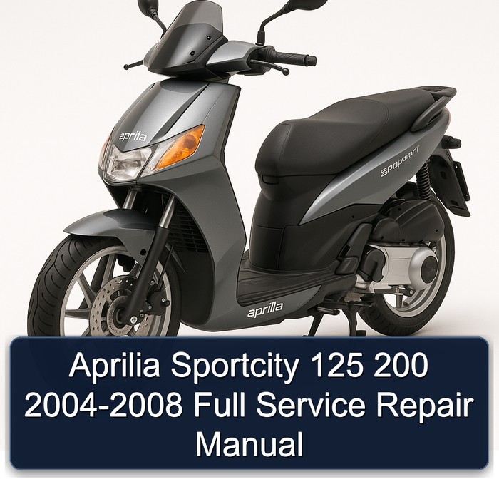 Aprilia Sportcity 125 200 2004-2008 Full Manual de servicio y reparación