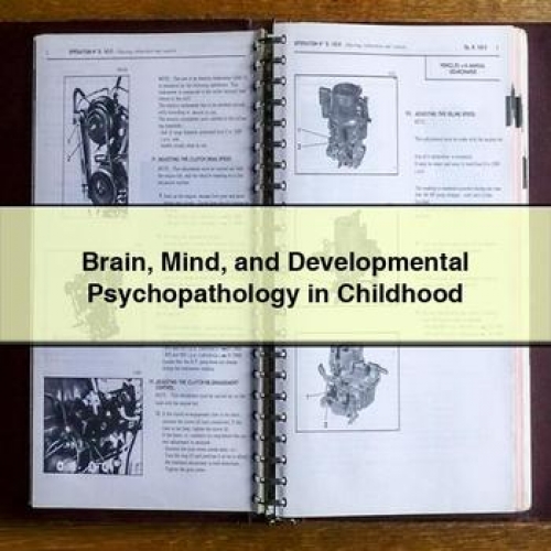 Brain Mind and Developmental Psychopathology in Childhood PDF Download