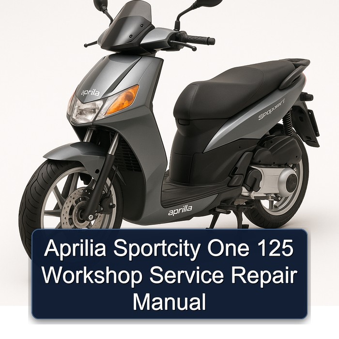 Aprilia Sportcity One 125 Workshop Manual de servicio y reparación