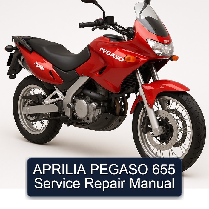 APRILIA PEGASO 655 Manual de servicio y reparación