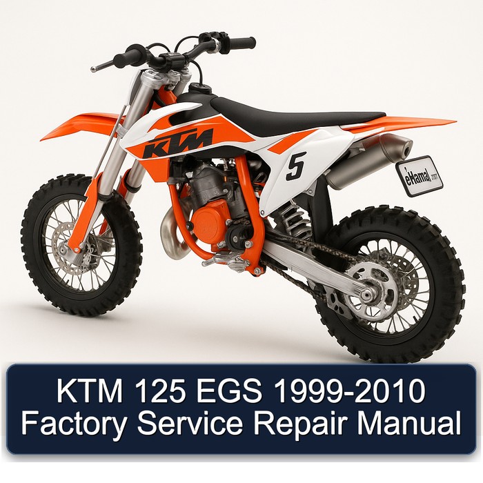 KTM 125 EGS 1999-2010 Factory Manual de servicio y reparación