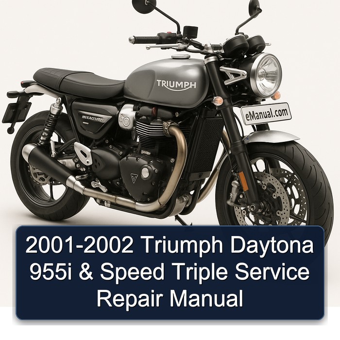 2001-2002 Triumph Daytona 955i & Speed Triple Manual de servicio y reparación