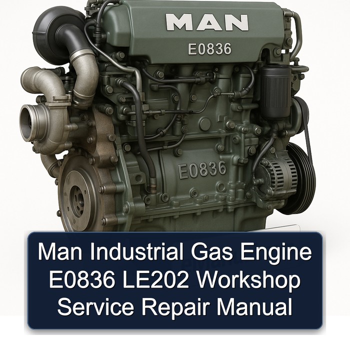 Manual de Servicio y Reparación del Motor de Gas Industrial Man E0836 LE202