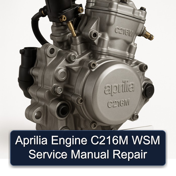 Aprilia Engine C216M WSM Service Manual Repair