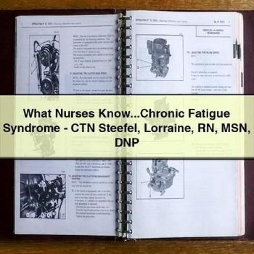 What Nurses Know...chronic Fatigue Syndrome - Ctn Steefel Lorraine Rn Msn Dnp PDF Download