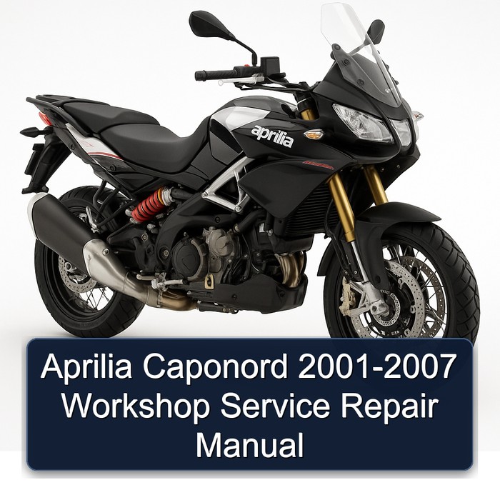 Aprilia Caponord 2001-2007 Workshop Manual de servicio y reparación